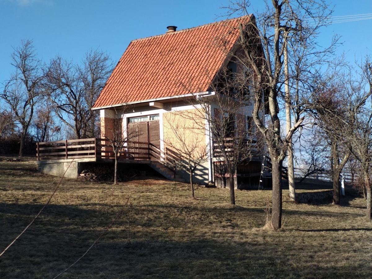 Вілла Srdica Kuca Trnava  Екстер'єр фото