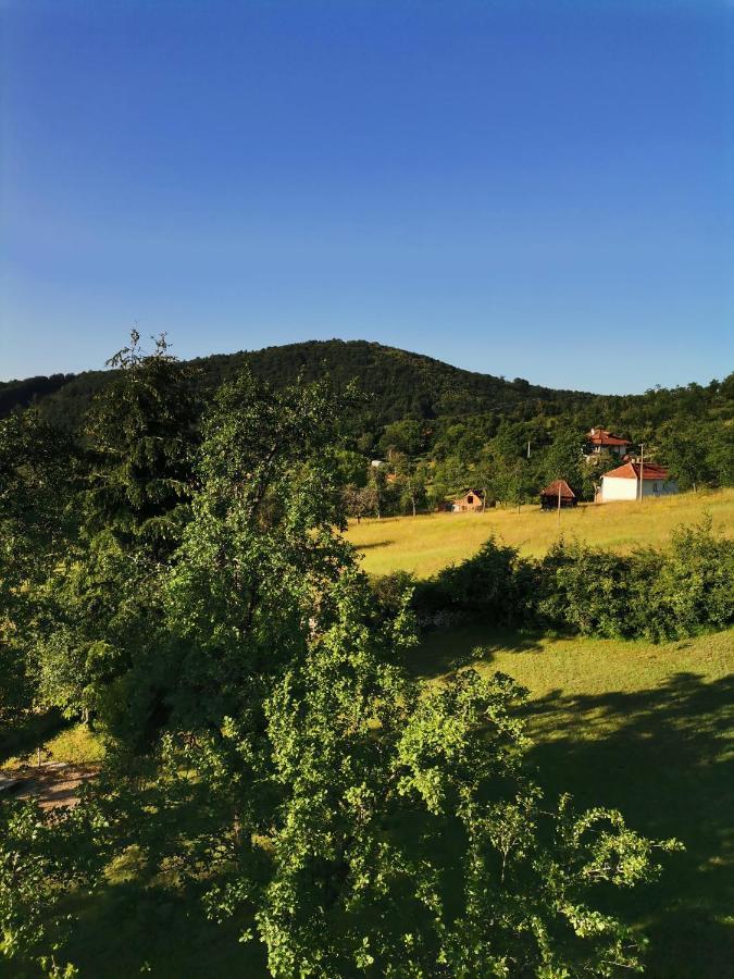 Вілла Srdica Kuca Trnava  Екстер'єр фото